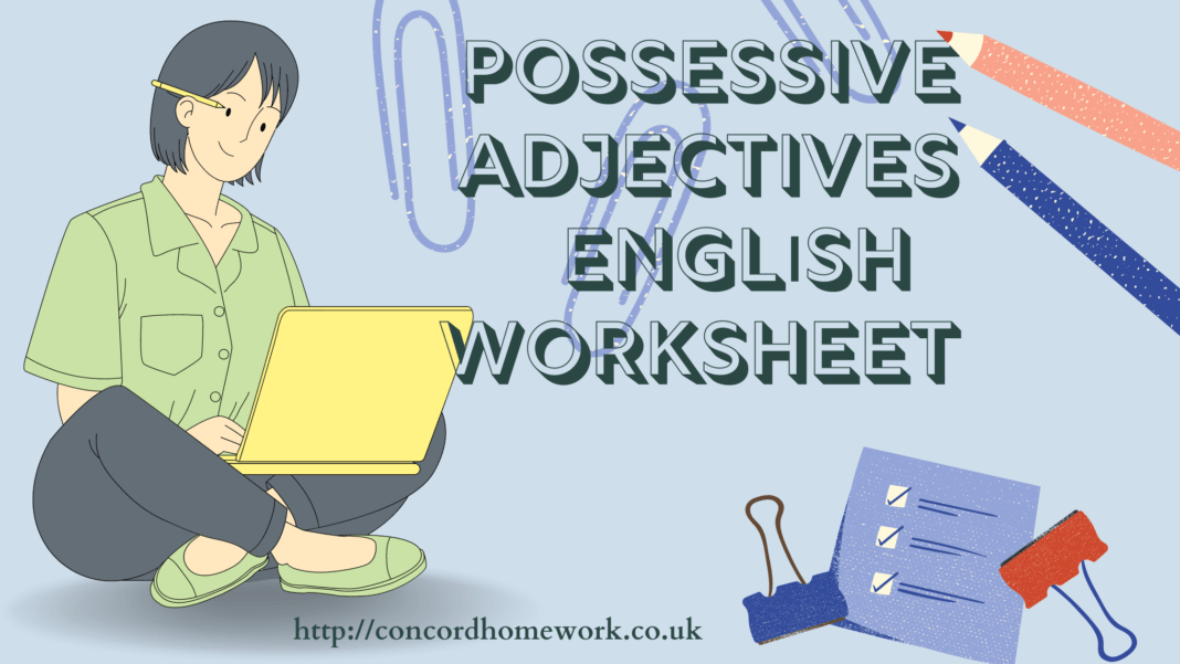 Possessive adjectives English worksheet