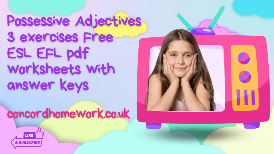 Possessive Adjectives 3 exercises Free ESL EFL pdf worksheets with answer keys