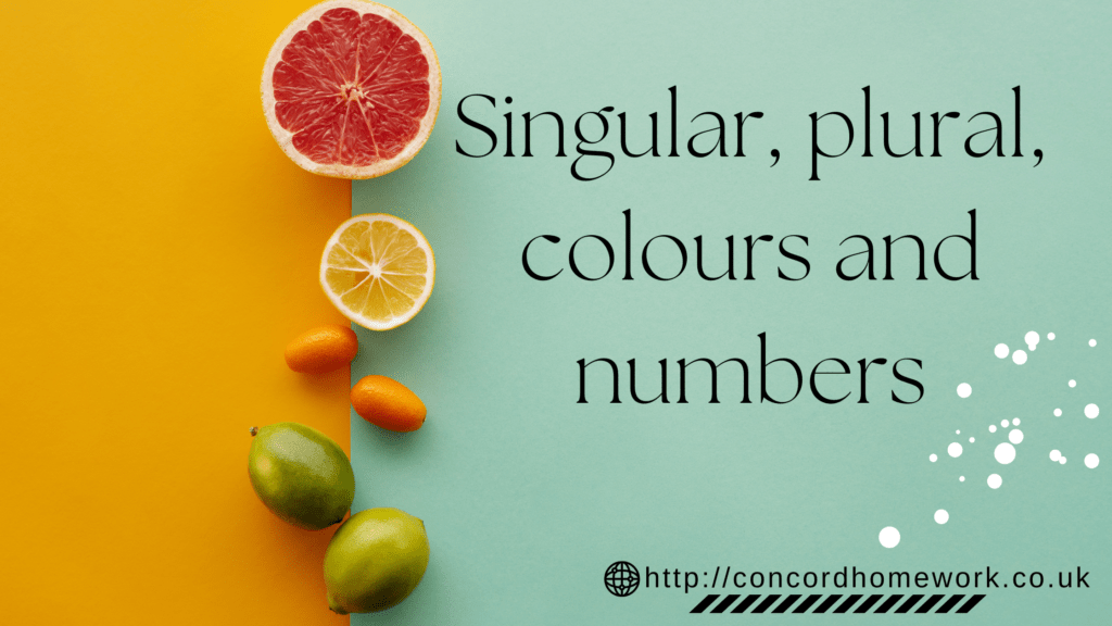 Singular, plural, colours and numbers worksheet esl and efl