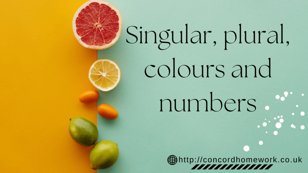 Singular, plural, colours and numbers worksheet esl and efl