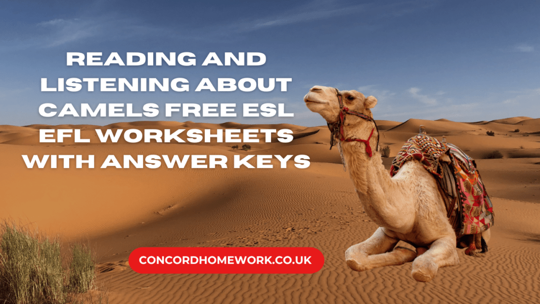 Reading and listening about Camels free ESL EFL worksheets with answer keys
