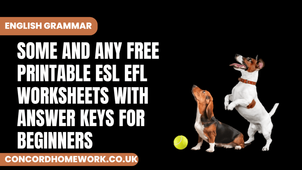 Some and any free printable ESL EFL worksheets with answer keys for beginners
