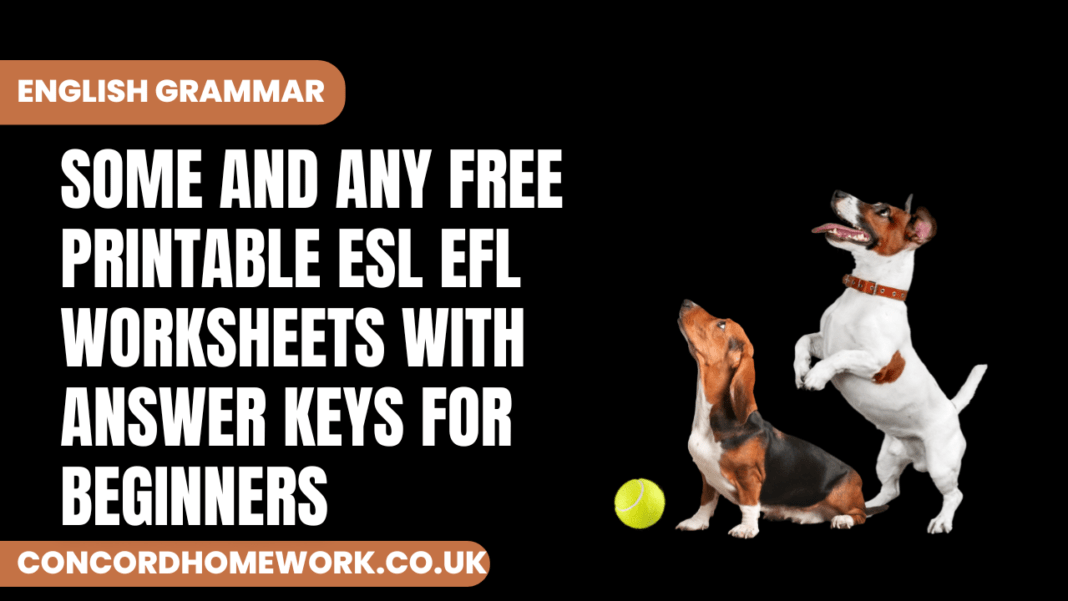 Some and any free printable ESL EFL worksheets with answer keys for beginners