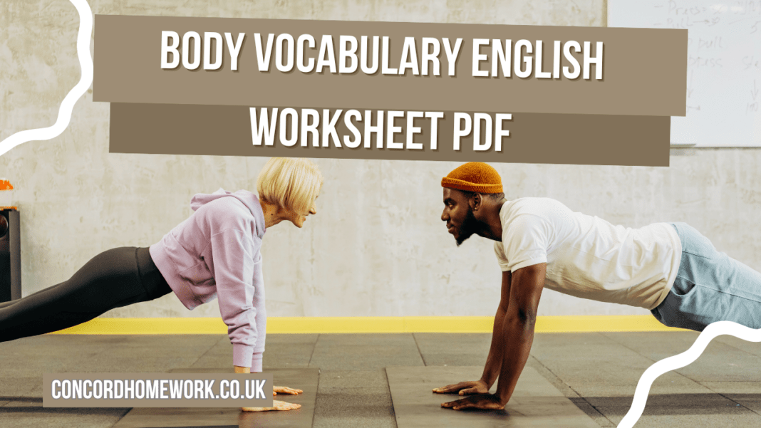 Body vocabulary English worksheet pdf