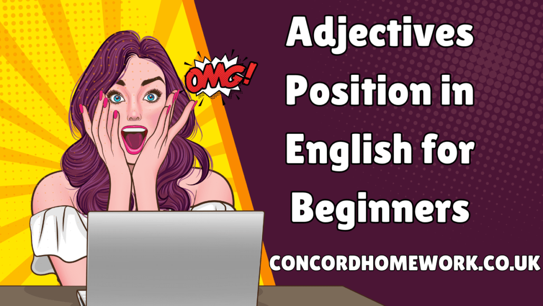 Adjectives Position in English for Beginners