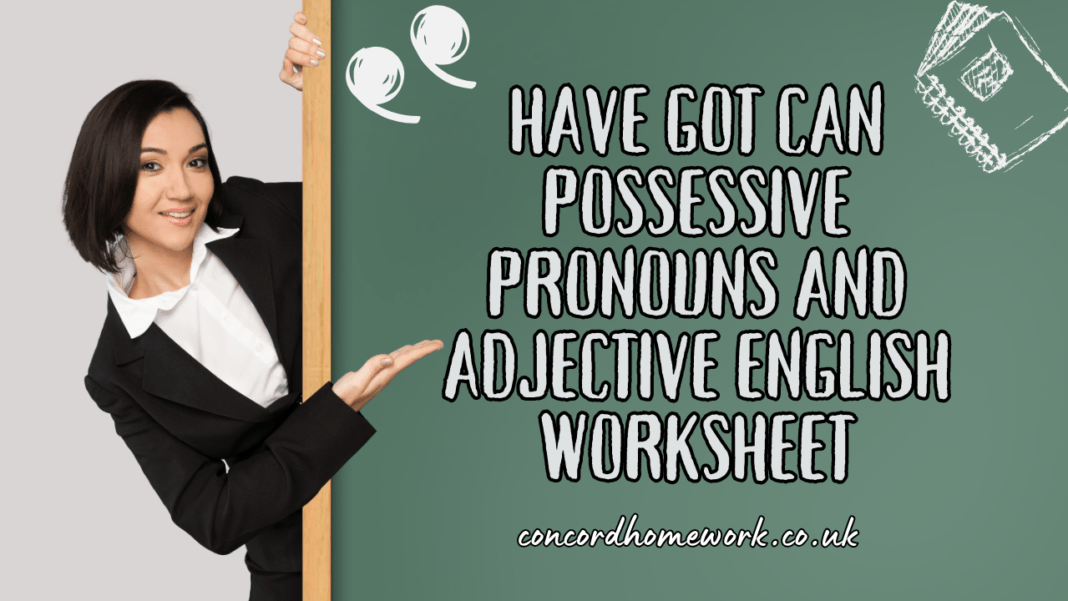 Have got can possessive pronouns and adjective English worksheet