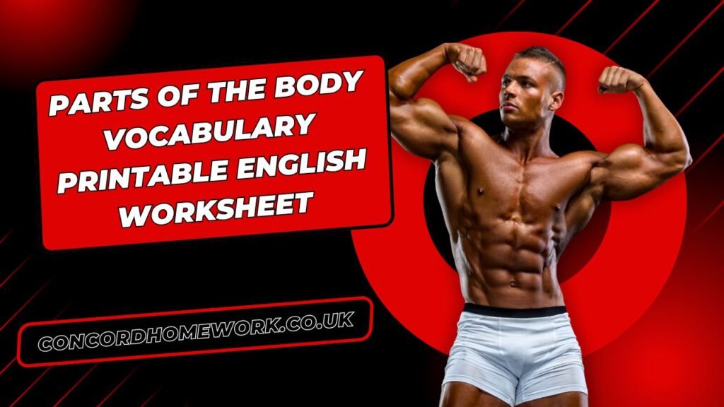 Parts of the body vocabulary printable English worksheet