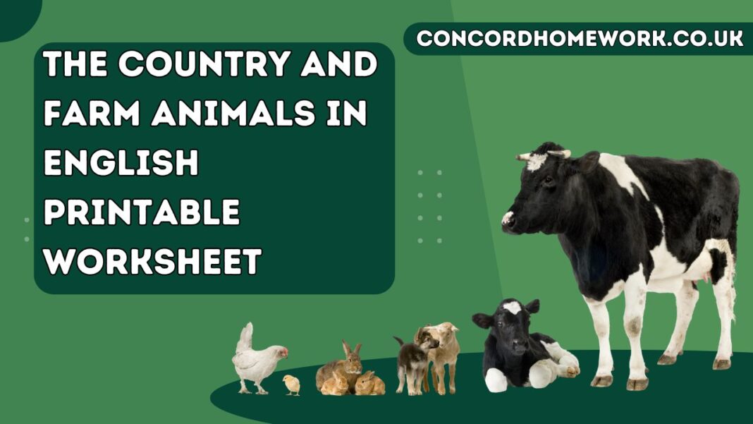 The country and farm animals in English printable worksheet