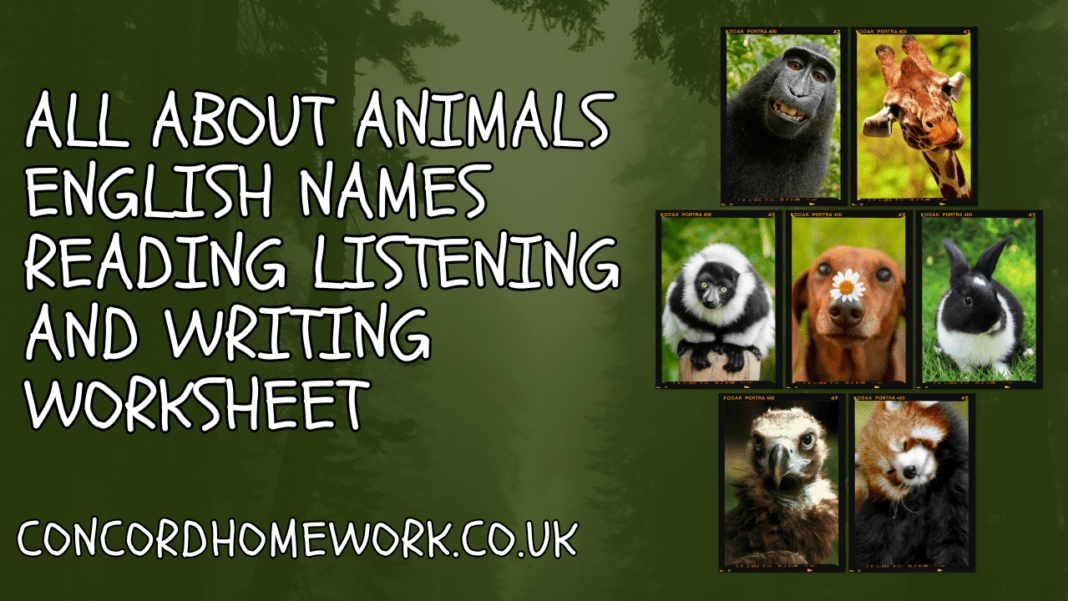 All about animals English names reading listening and writing worksheet