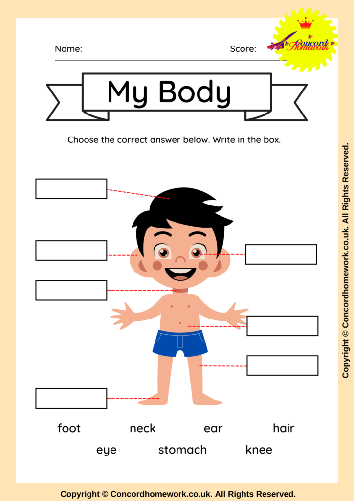 Free printable body parts worksheets for Preschool