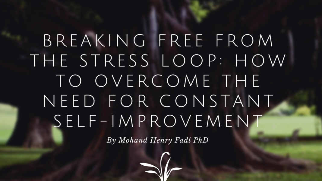 Breaking the stress cycle by living in the present and accepting ourselves